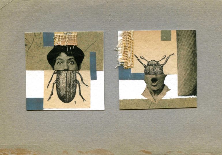 Интервью без слов: коллажист Ирина Севостьянова