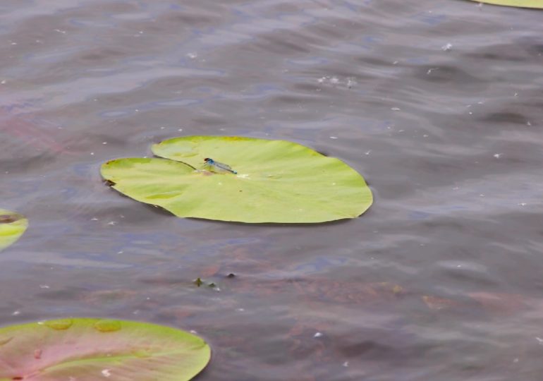 В Самарской области удалось отыскать рыбака с отключенным телефоном