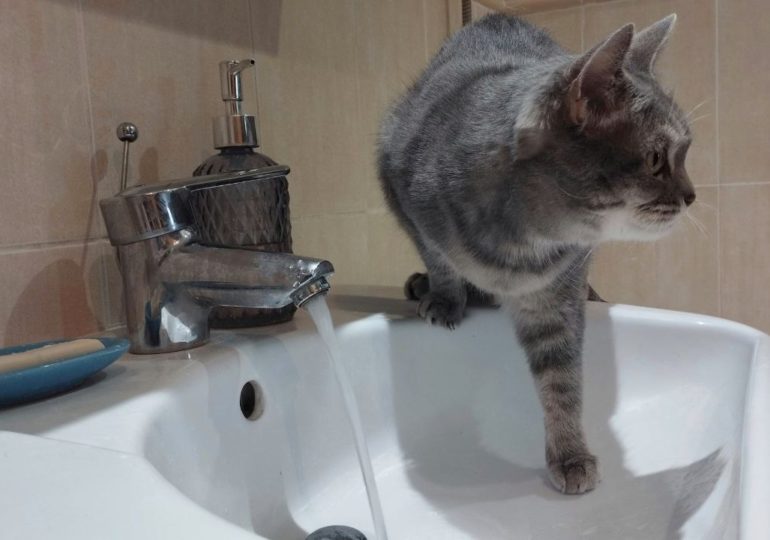 В Самаре возможны кратковременные отключения холодной воды 10, 11 и 12 мая