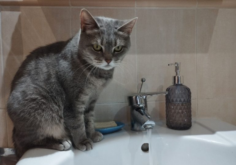 В Самаре возможны кратковременные отключения холодной воды 10, 11 и 12 мая