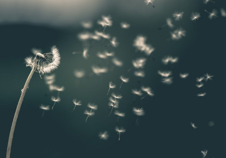 В Самарской области прогнозируют сильный ветер