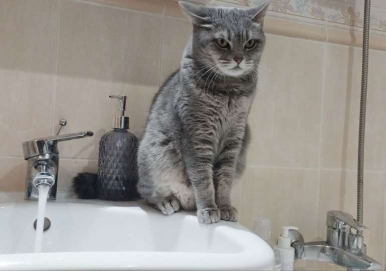 С 5 по 18 июня на нескольких улицах Самары отключат горячую воду