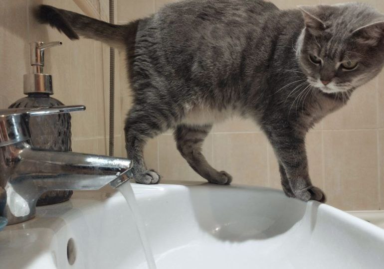 В Самаре возможны кратковременные отключения холодной воды 19, 20, 21 и 22 июня