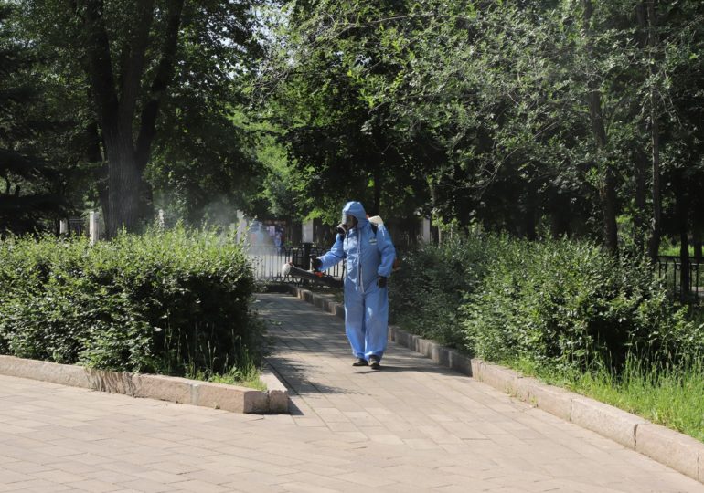 На общественных территориях Самары истребляют кровососущих насекомых