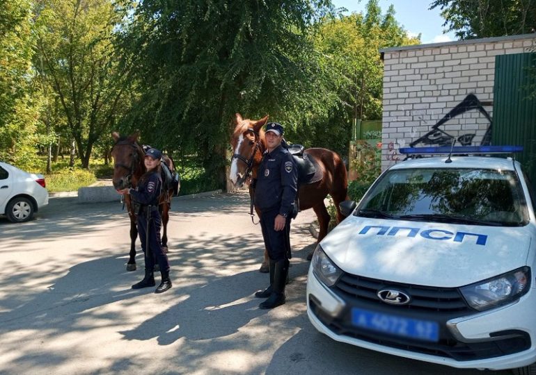 В Загородном парке проходит рейд конной полиции