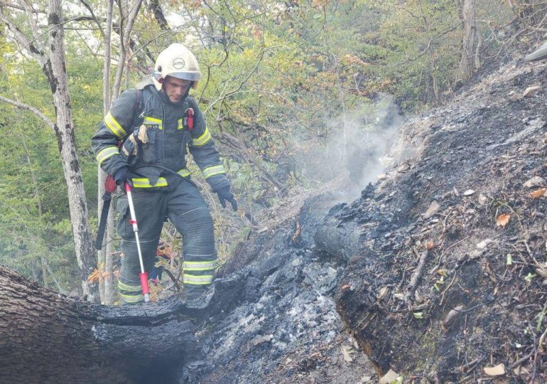 В Геленджике площадь лесного пожара достигла 118 гектаров
