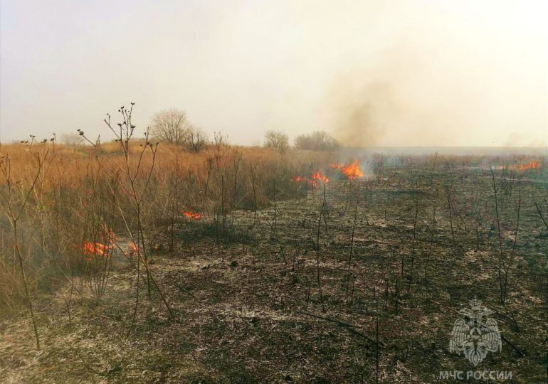 Более 20 человек тушат пожар в Новобуянском лесничестве