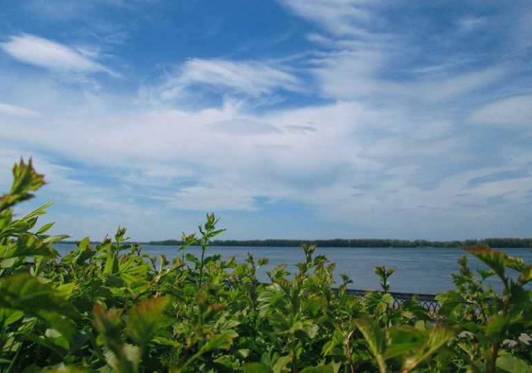 «Волонтеры культуры» призывают поддержать Самару на конкурсе «Культурная столица года – 2024»