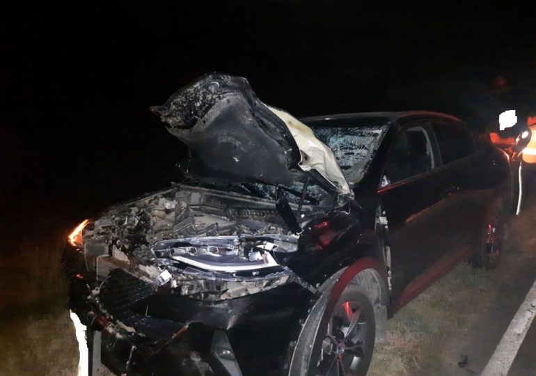 В Самарской области автомобилист насмерть сбил лося