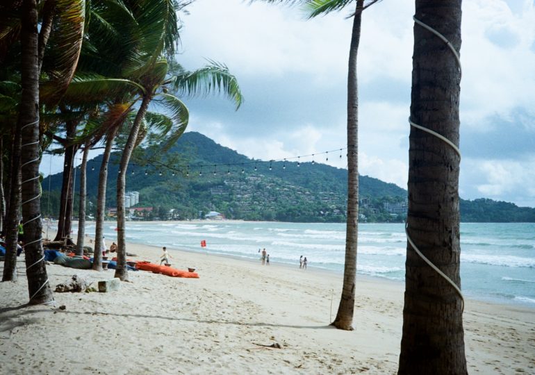 На пляже туристического острова Пхукет обнаружили ядовитого моллюска