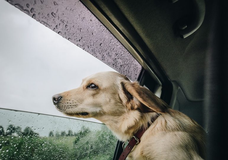 Из-за сильного дождя в Самарской области объявили желтый уровень опасности