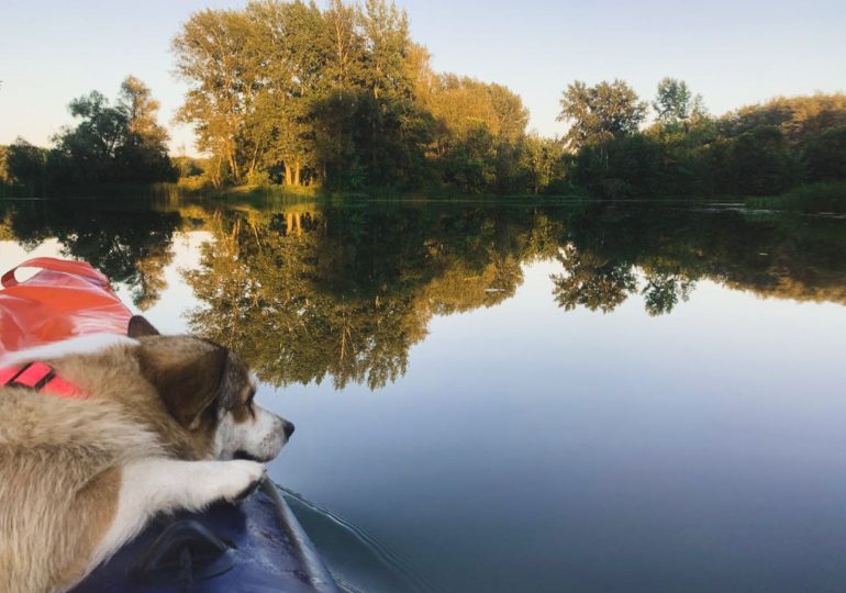 Самарцам напомнили о правилах поведения на водных объектах