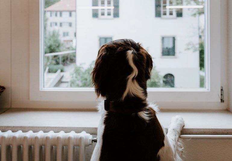 В Самаре отапливаются большинство учреждений и жилых домов