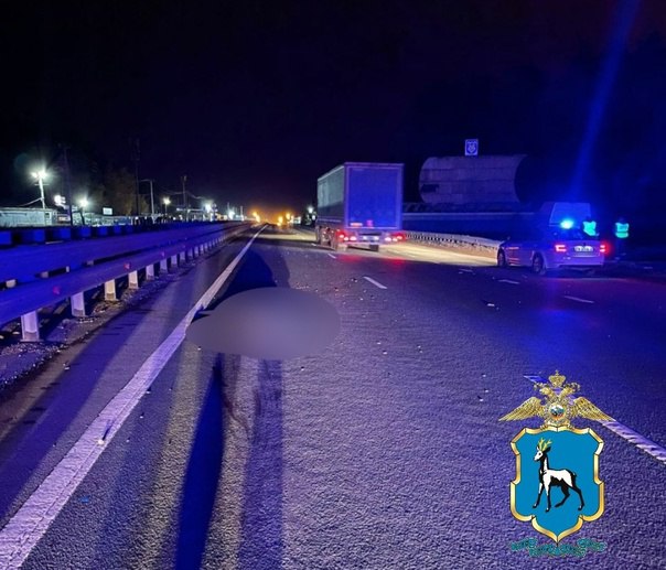 В Самарской области полицейские разыскивают водителя, сбившего пешехода