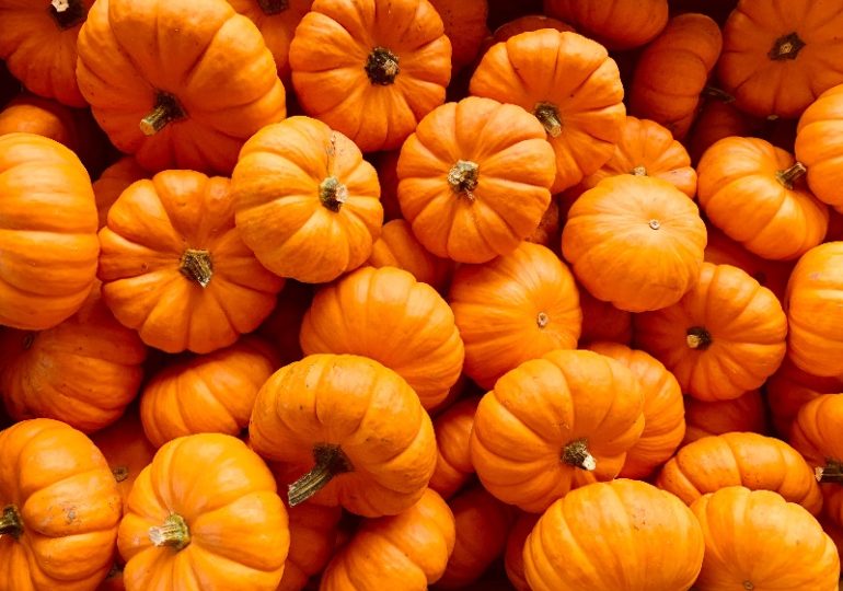 Самара вошла в топ-5 самых дешевых «тыквенных» направлений России
