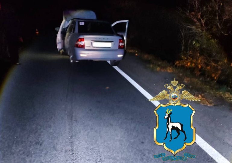 В Самарской области женщина на легковушке сбила насмерть 41-летнего мужчину