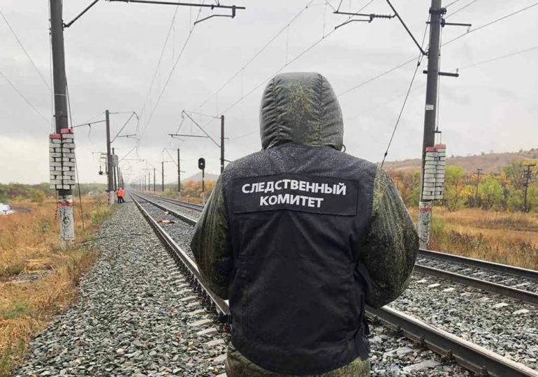 В Самарской области электричка насмерть сбила женщину