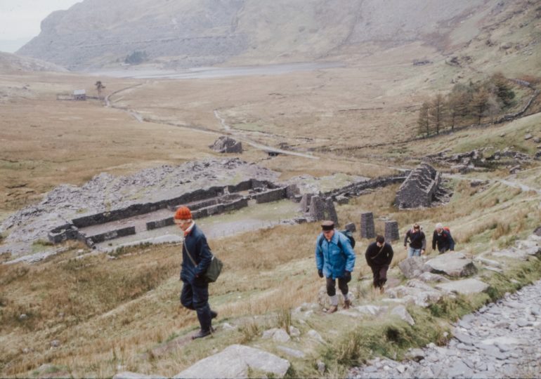 В Пакистане обнаружили крупнейший за сто лет клад