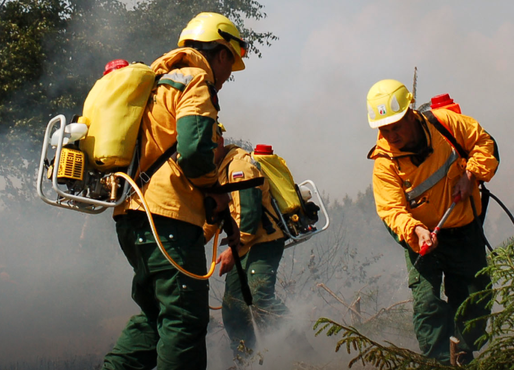 Самарская область вошла в топ-5 регионов по быстрой ликвидации лесных пожаров