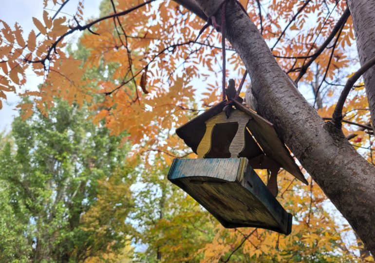 Синоптики рассказали о погоде в Самарской области в ноябре