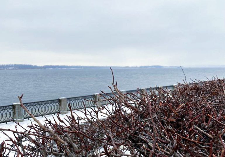 Изменилось расписание движения речных судов от Октябрьского спуска до Рождествено