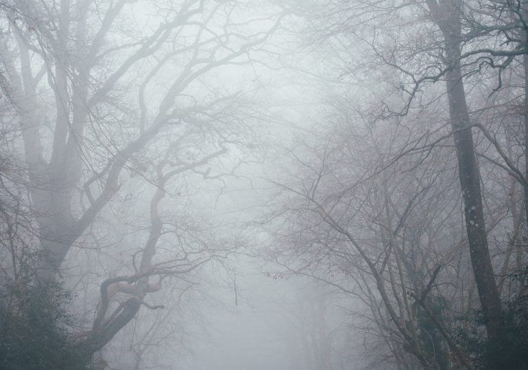 Из-за тумана в Самарской области объявили желтый уровень опасности