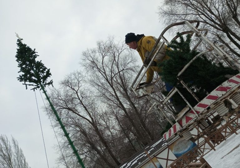 В парке Дружбы устанавливают новогоднюю елку