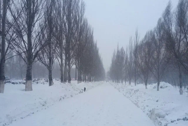 В Самарской области ожидаются сильный снегопад и метель