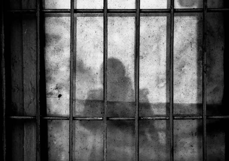 В самарскую исправительную колонию пытались передать «фаршированный» наркотиками чернослив