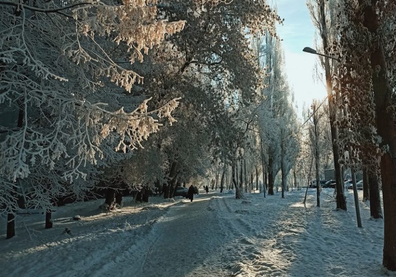 Стало известно, какой будет зима в Центральной России и Поволжье