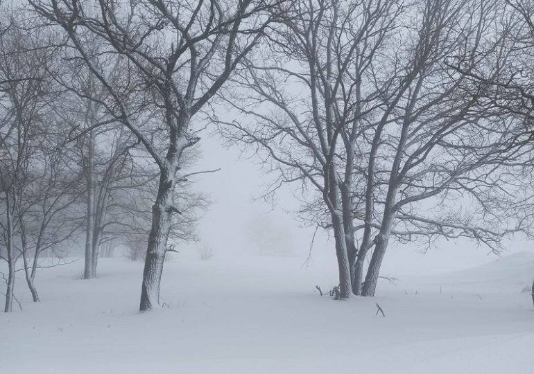 Из-за метели, дождя и сильного ветра в Самарской области объявили желтый уровень опасности