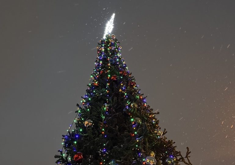 В Самаре около ДК «Нефтяник» установили елку