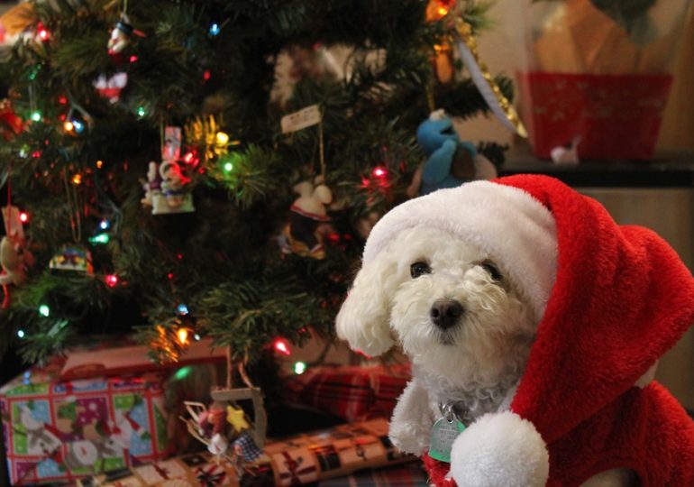 Россияне назвали самые желанные подарки на Новый год