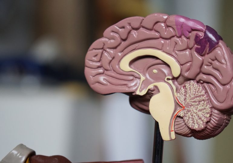 Ученые, занимающиеся нейробиологией, раскрыли тайну человеческого мозга, обнаружив новые гены клеток