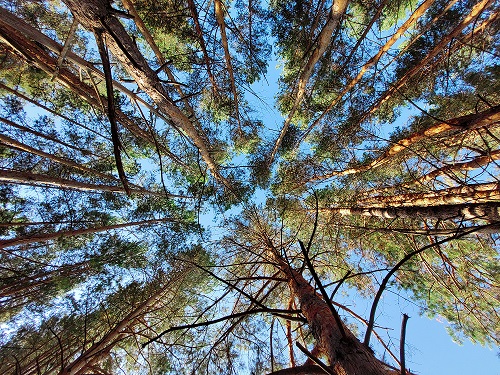 Санатории Самарской области заняли четвертое место в ПФО