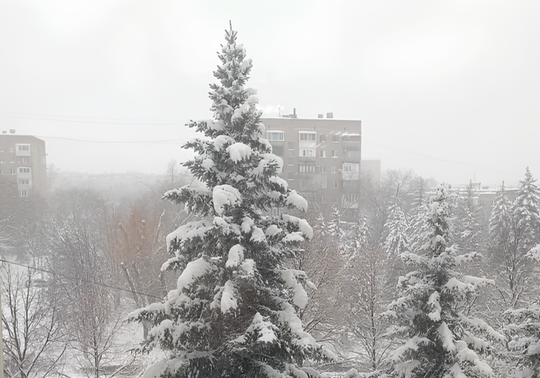 В Самарской области ожидается новая волна снегопадов из-за атлантического циклона