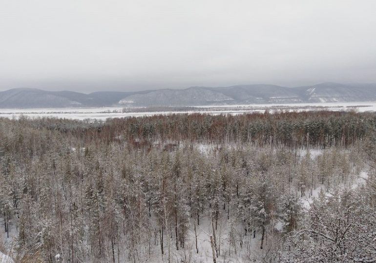 Самарская область победила в трех номинациях туристической премии
