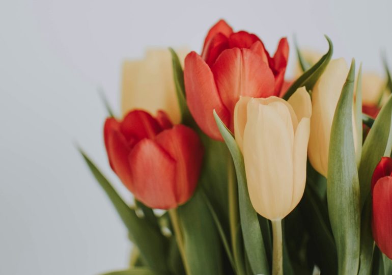 Афиша: куда сходить в Самаре 9 и 10 марта