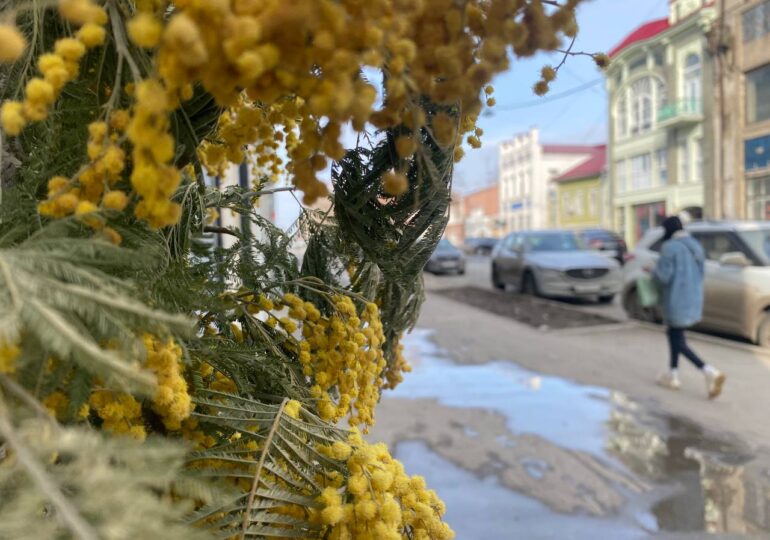 Афиша: куда сходить в Самаре 30 и 31 марта