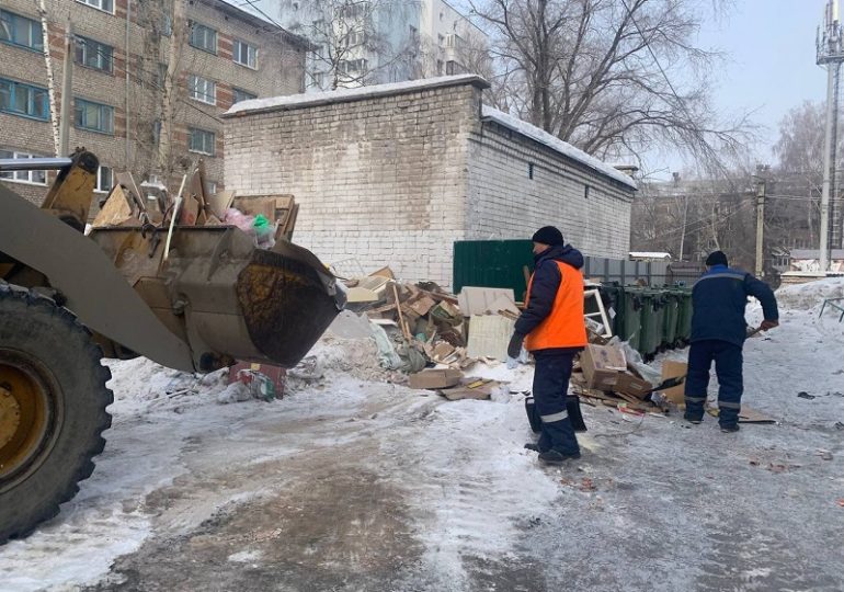 В Самаре на особый контроль взяли содержание контейнерных площадок