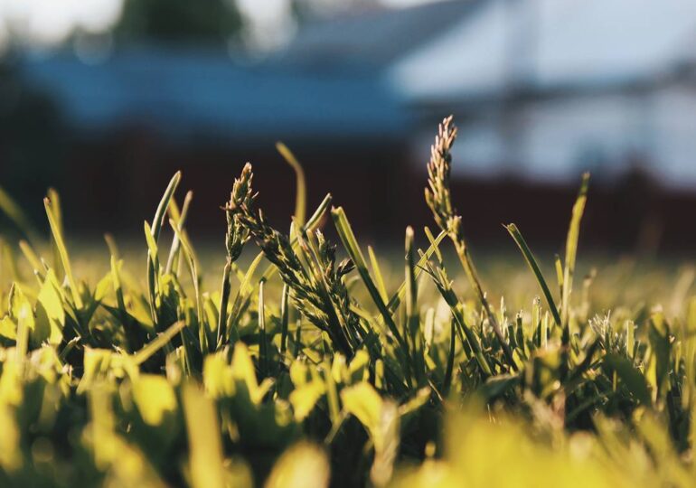 Жара в Самарской области установила новый температурный рекорд