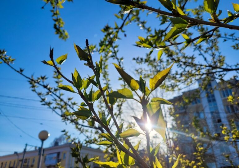 Синоптики рассказали, какая погода ожидает Самарскую область в мае