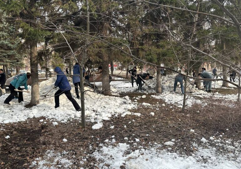 В самарских скверах и парках прошли первые субботники