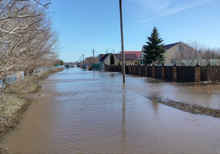 В Самарской области спасли тонущую собаку