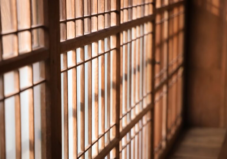 Блогеру Елене Блиновской продлили арест до 26 июня