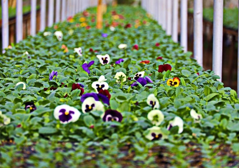 В Самаре обсудили промежуточные результаты месячника по благоустройству