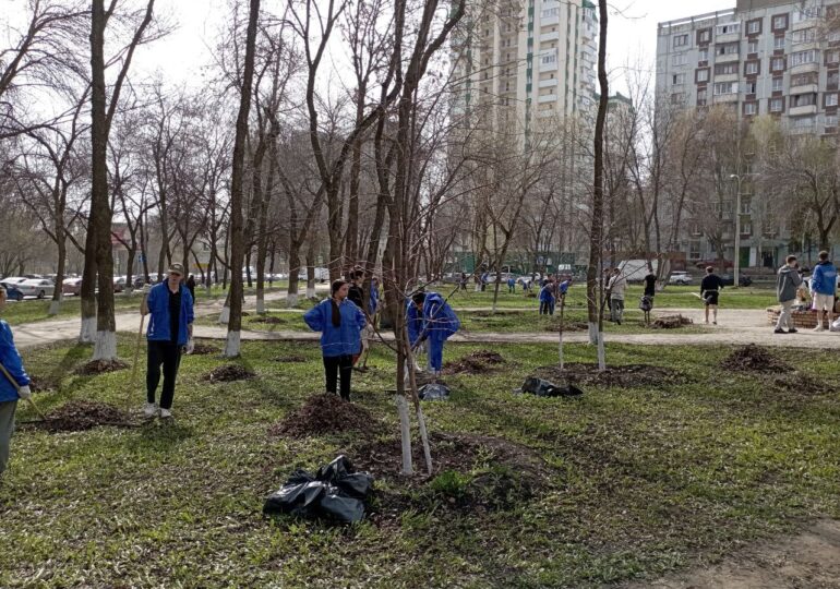 В Самаре студенты СГЭУ вышли на субботник