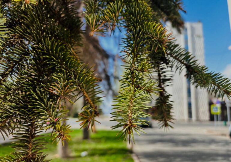 В Самаре зафиксировали новый температурный рекорд