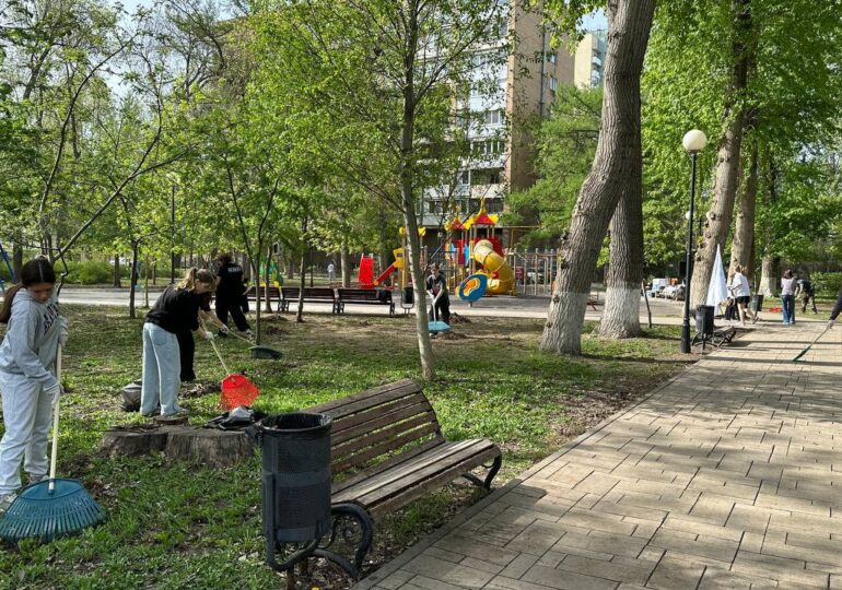 Самарские команды КВН приняли участие во Всероссийском субботнике