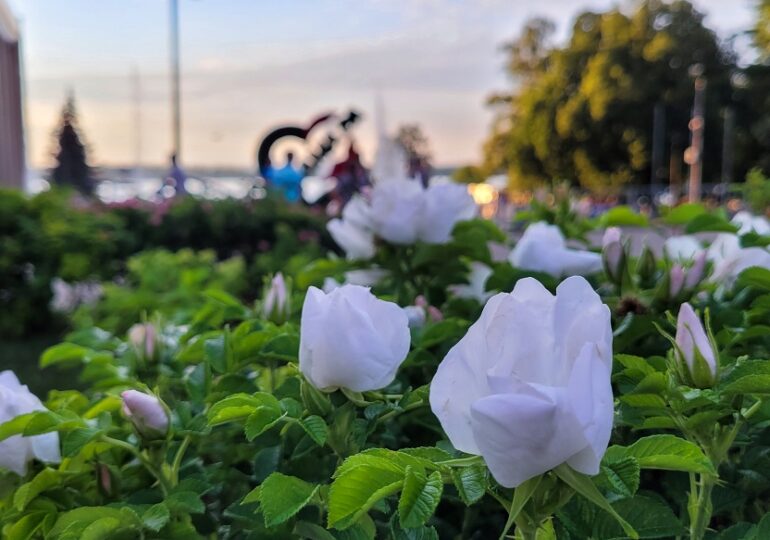 Самарская область вошла в топ-3 среди регионов ПФО по численности населения